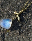 Leaf + Moonstone drop necklace
